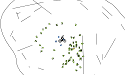 Weird track