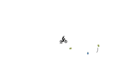 short auto