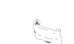 can we colab dead_or_alive?
