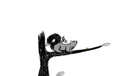 Squirrels