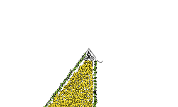 1197 stars