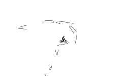 Short Brush