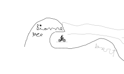 Biome Race