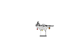 The questioning island (desc.)