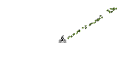 Glitch