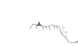 Rocky Grounds (Prev.)
