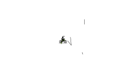 SIMPLE AUTO