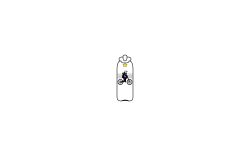 Ship in the bottle