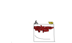 captinesparkels