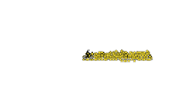 1000 star
