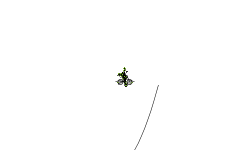DOUBLE AUTO!!! (desc)