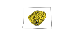 1000 STARS AND COUNTING
