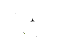 auto flip