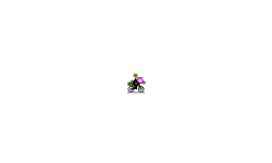 More random stuff