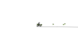 Speedy