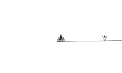 Jumping Jumper