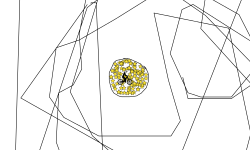 circle