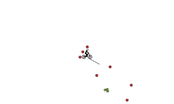 Longish Auto!