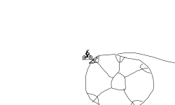 Soccer  Ballll