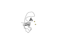 AirDrop