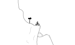 bmx dirt