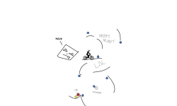 Derps Collaboration