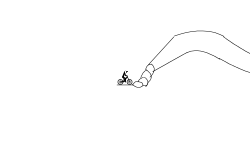 snake