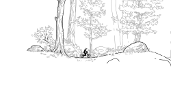 woods