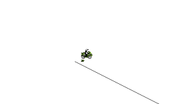 Race