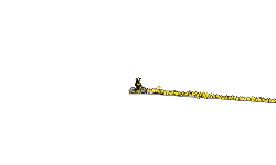 4000 stars