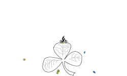 Irish luck