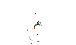 Bomb run 2