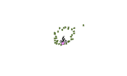 Random Track