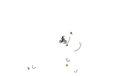 Short Auto