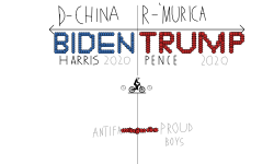 Election 2020 Poll (Desc.)