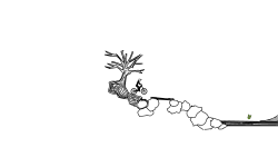 I added some stuff.