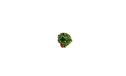 can you get the star.