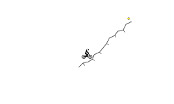 Daily Climb