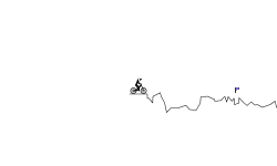 Python randomly gen. track 2