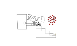 Down The Stairs