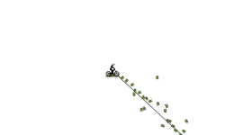 its long