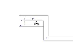 long or short track