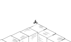 OPTIC ILLUSION