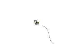 Downhill adventure