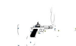 Catch the Bullet