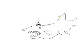 Shark Attack