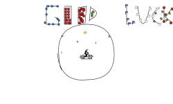 Impossible Circle