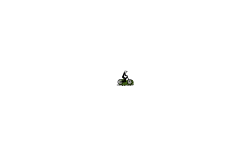 press space bar