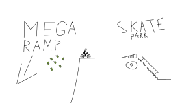 skate park / mega ramp