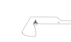 Pro Race